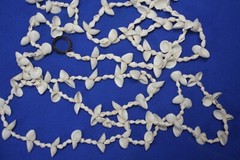 Hanging Seashell Decor Gift For Her Extra Long Seashell Garland, 96″+ G-94