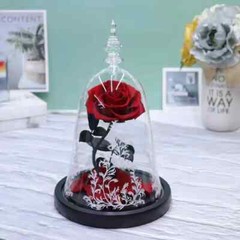 Eternal Rose in Glass Dome – Valentine’s Day Gift