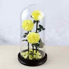Three Eternal Roses with Glass Dome – Valentine’s Day Gift