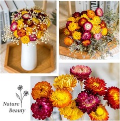 Dried Flowers Bouquet Natural Daisy – 40 PCS Multicolor Daisies Dried