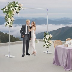 10ft x 10ft Backdrop Stand Pipe Kit Heavy Duty Wedding Back Adjustable Stand