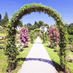 Metal Garden Arch Gothic Arbor Climbing Rose Plants Outdoor Archway Trellis 8ft