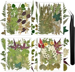 110+ Pcs Dried Flowers Leaves for Crafts, Real Pred Flowers Dry Leaves