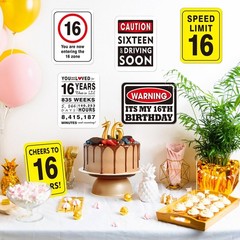 WERNNSAI 16th Birthday Party Decorations – 9PCS Wall Signs Funny Tags for Tee…