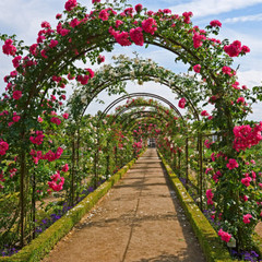 Heavy Duty Metal Garden Arch Rose Archway Pergola Arbour Climbing Plants Trellis