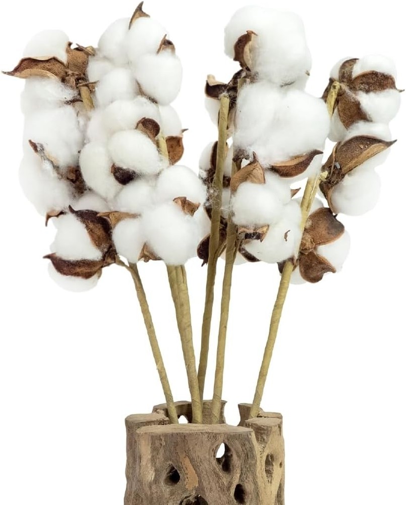 Cotton Stems Proflora All Natural Dried 3 Ball – 18pcs, 14.5”