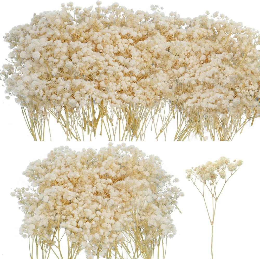 50Pcs Mini Dried Baby’s Breath Flowers, 6” Natural Ivory White Flowers