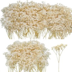 50Pcs Mini Dried Baby’s Breath Flowers, 6” Natural Ivory White Flowers