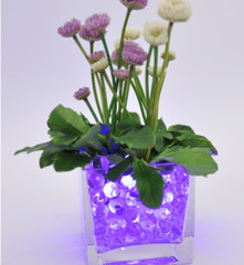 50pc Color Changing Blinking LED Pearl Light For Party Decor Christmas H-30