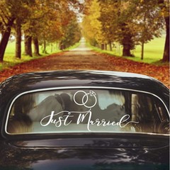 Just Married Car Sticker, Wedding Car Decoration Car Decoration Wedding …
