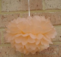 18x Peach Cream tissue paper Pom Poms Wedding Baby Shower Birthday Christening