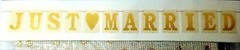 Just Married Banner/Wedding Decor 5.5″in x 4″in. (98″ long )