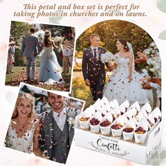 2 Sets Wedding Petal Cones for 60 Guest – Biodegradable Real Petals 300