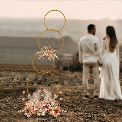 Wedding Round Hoop Backdrop Stand Detachable 4-Tier Gold Metal Flower Arch Frame