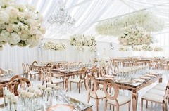Wedding Ceiling Drapery, Wedding Backdrops, Ceiling Drapes, 10′ x 15′, 5 COLORS