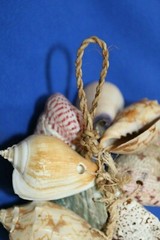 Seashell Wedding Tabletop Centerpiece Cluster of Natural Whole Seashells, G-04