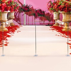 Iron Wedding Party Flower Display Frame Square Arch Backdrop Decor Stand 3x6m