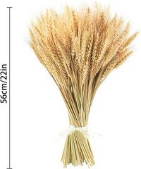 17.7 Inches Dried Wheat Stalks, 100 Stems Dried Flowers Natural