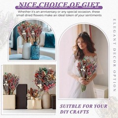 8 Pa Lar Size Boho Dried Flower Bouquet 15-17 Inch Wedding