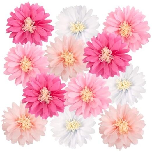 Daisy Tissue Paper Pom Poms, Wildflower Party Decorations, White and Pink pink