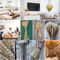 17.7 Inches Dried Wheat Stalks, 100 Stems Dried Flowers Natural