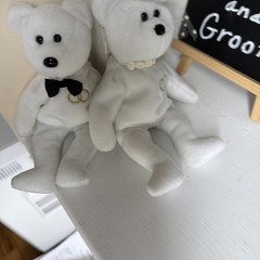 Wedding Items : Some New ,Some Not, None Borrowed, None Blue