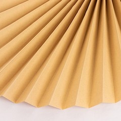 6 NATURAL Dried Tropical Palm Leaf Paper Fans Wall Backdrop Wedding Supplies