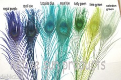 10 Peacock Feathers w/ Eyes 30-35″ L Bleached & dyed Your choice of 21 colors