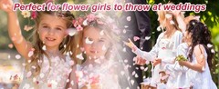 300 PCS Real Pink White Rose Flower Petals Confetti for Wedding Flower