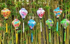 Set 8 Hoi An Silk Lanterns 22cm for Wedding Party Decoration Outdoor Garden deco