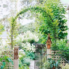 Outdoor Metal Black Wedding Arch Curved Garden Arbor for Climbing Plants Trellis