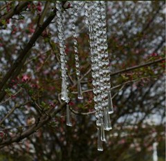 12pcs 50cm Acrylic Crystals Bead String Drop Prism Pendant Wedding Curtain Party