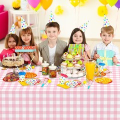 2 Pcs Pink Gingham Tablecloth, Disposable Plastic Pink Checkered Table Cloth,
