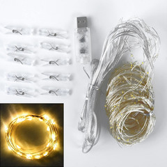 Champagne Tulle Backdrop Curtain with Lights String for Parites Wedding 5X8Ft