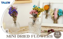 10 Pcs Mini Dried Flowers Bouquet Natural Gypsophila Don’t Fort Me Dried