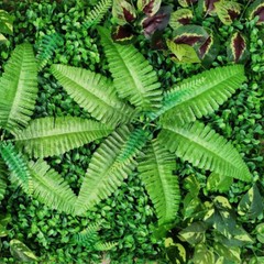 9 Pcs Artificial Boxwood Hedge Panels 60 × 40 × 4 cm Green