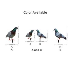 Note Outdoor Space Package Content Outdoor Package Content Garden Pigeon