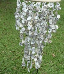 Beach Wedding Archway Hanging Seashell Decor Large Oyster Mobile, Oyster Expo