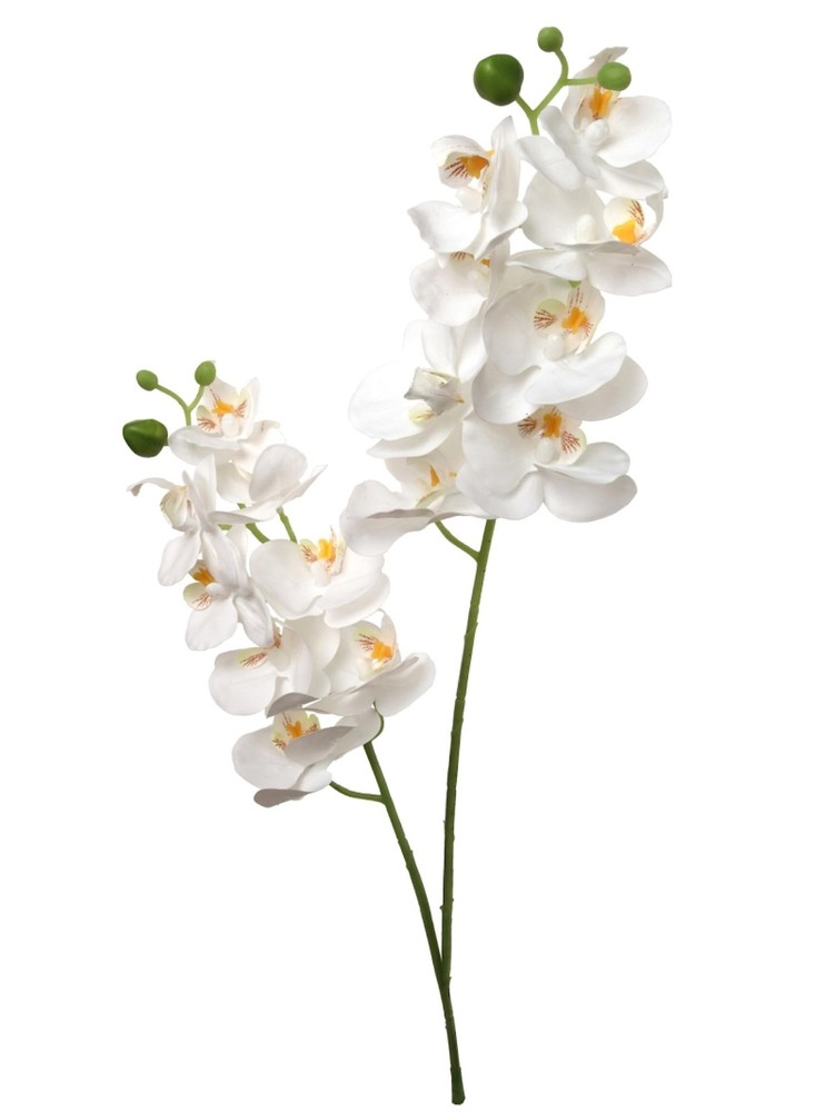 Larksilk Elegant Set of 12, 22″ White Phalaenopsis Orchids – Stunning Artific…