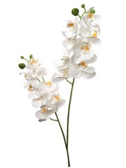 Larksilk Elegant Set of 12, 22″ White Phalaenopsis Orchids – Stunning Artific…