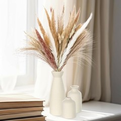 Ceric Vase Set of 6 with 100 Pcs Dried Ppas Grass Flowers,