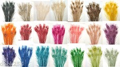 50 Peacock Feathers w/ Eyes 30-35″ L Bleached & dyed Your choice of 21 colors