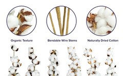 Cotton Stems Proflora All Natural Dried 3 Ball – 18pcs, 14.5”