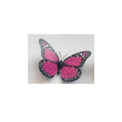 3D Colorful Artificial Butterflies Set PVC Craft Wedding Party Floral Decor Gift