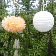 24x Peach paper pom poms white paper lanterns wedding party baby shower decor