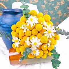 Toot 30Pcs Natural Craspedia Dried Flowers Yellow Billy Buttons Balls