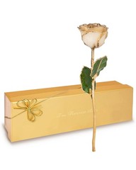 Forever Rose Hand-Dipped in 24K Gold, Diamond-Inspired April Birthstone with …