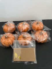 Kate Aspen Fall Decor Mini Orange Pumpkin Place Card Holder (Set of 6), New