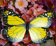 3D Colorful Artificial Butterfly Dummy Craft Wedding Party Floral Decor Gifts*1