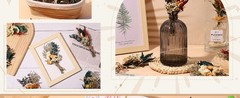 Fuyp Mini Boho Dried Flower Bouquet Set of 6 Natural Dried Flowers Small